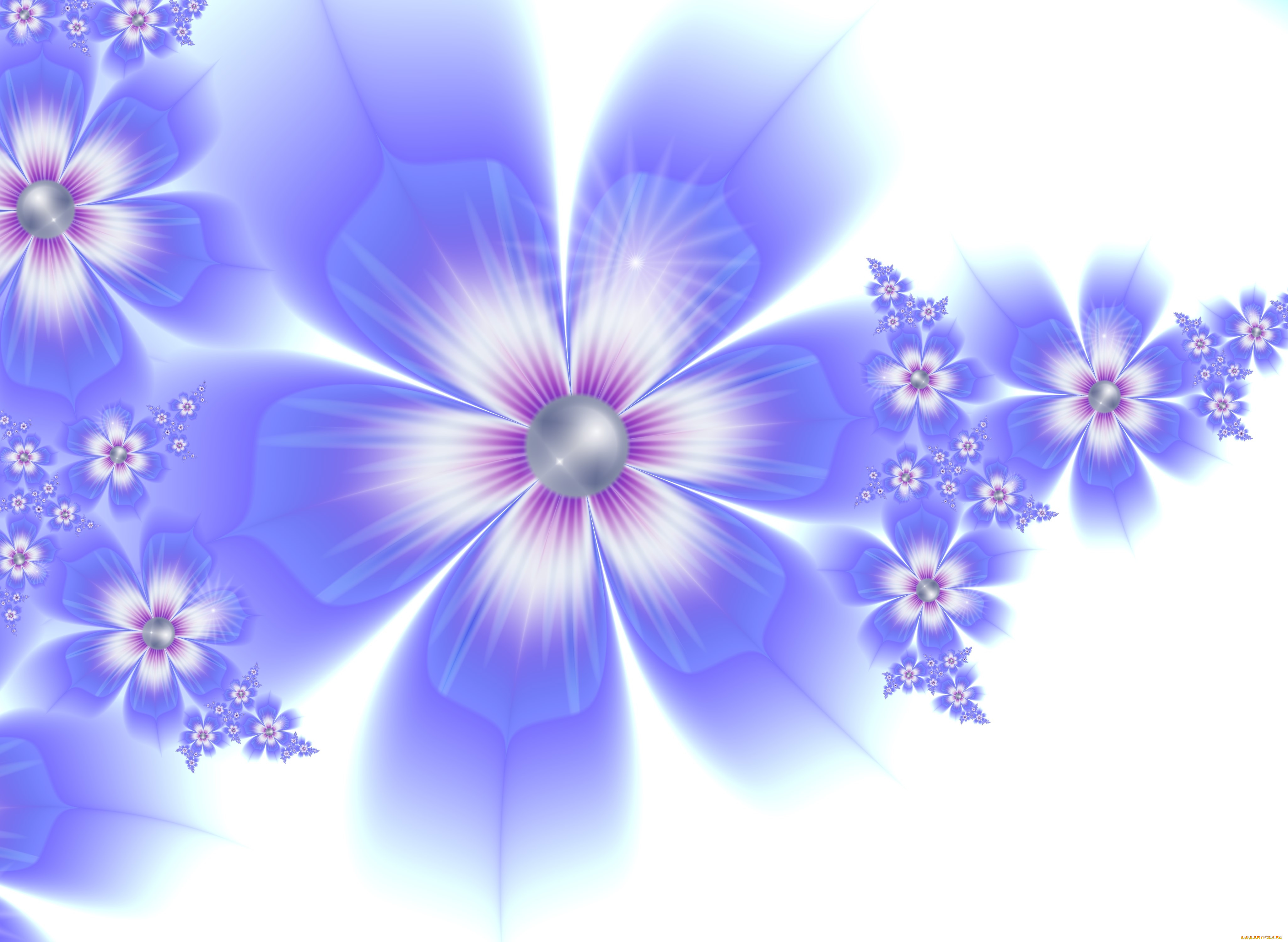3, , flowers, , , 